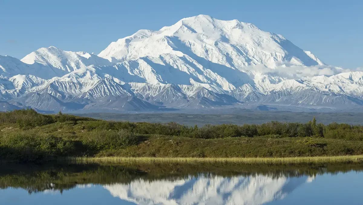 Denali National Park
