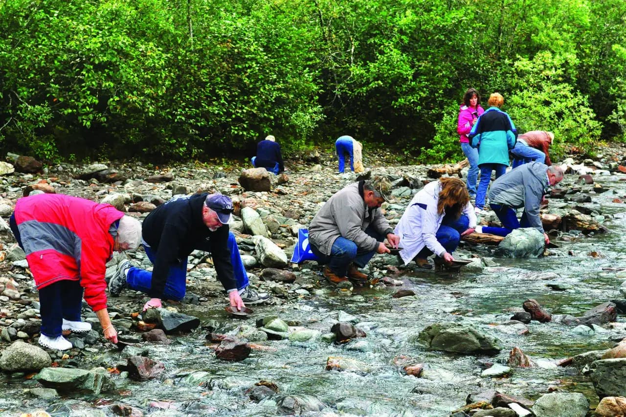 Gold Panning at the Creek