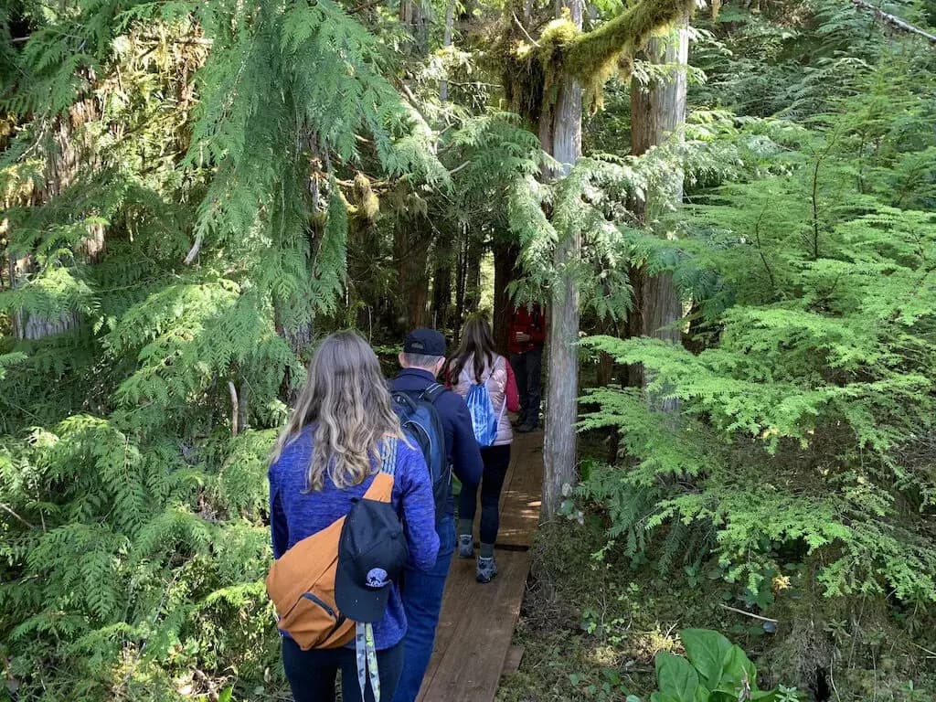 Rainforest Boardwalk