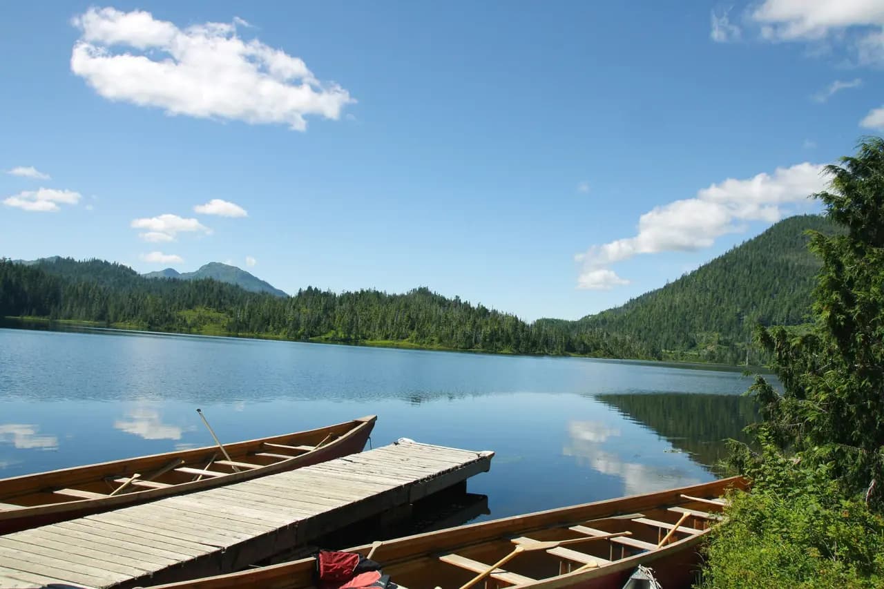 Rainforest Canoe Adventure & Nature Trail photo 3