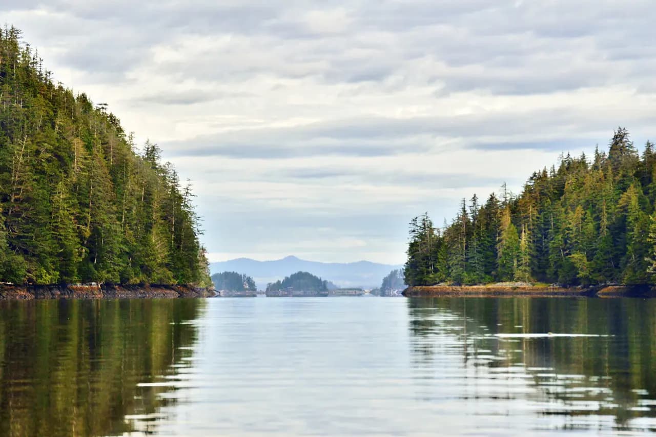 Wilderness Sea Kayaking photo 3