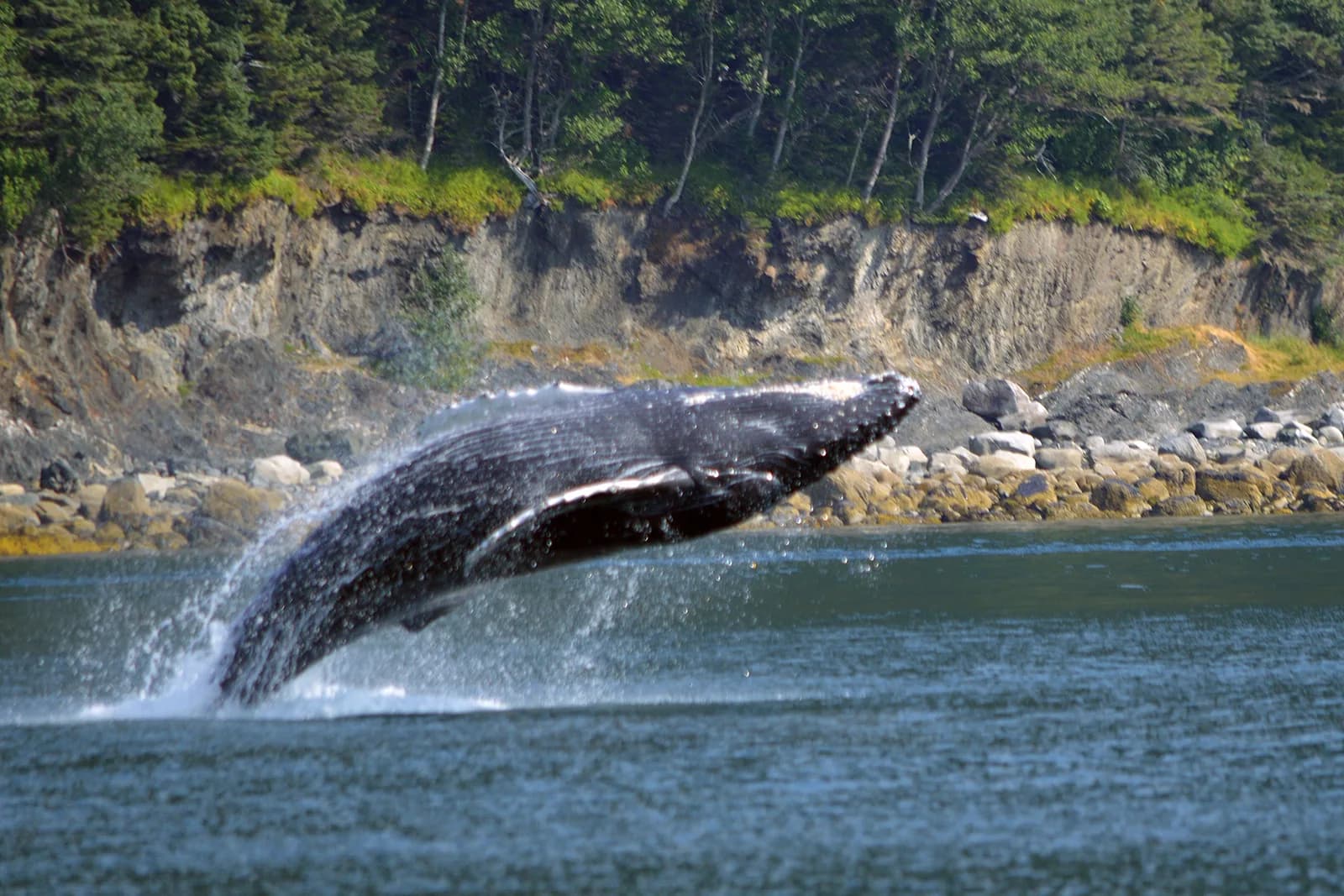 What to Do in Juneau, Alaska During the Midnight Sun Season