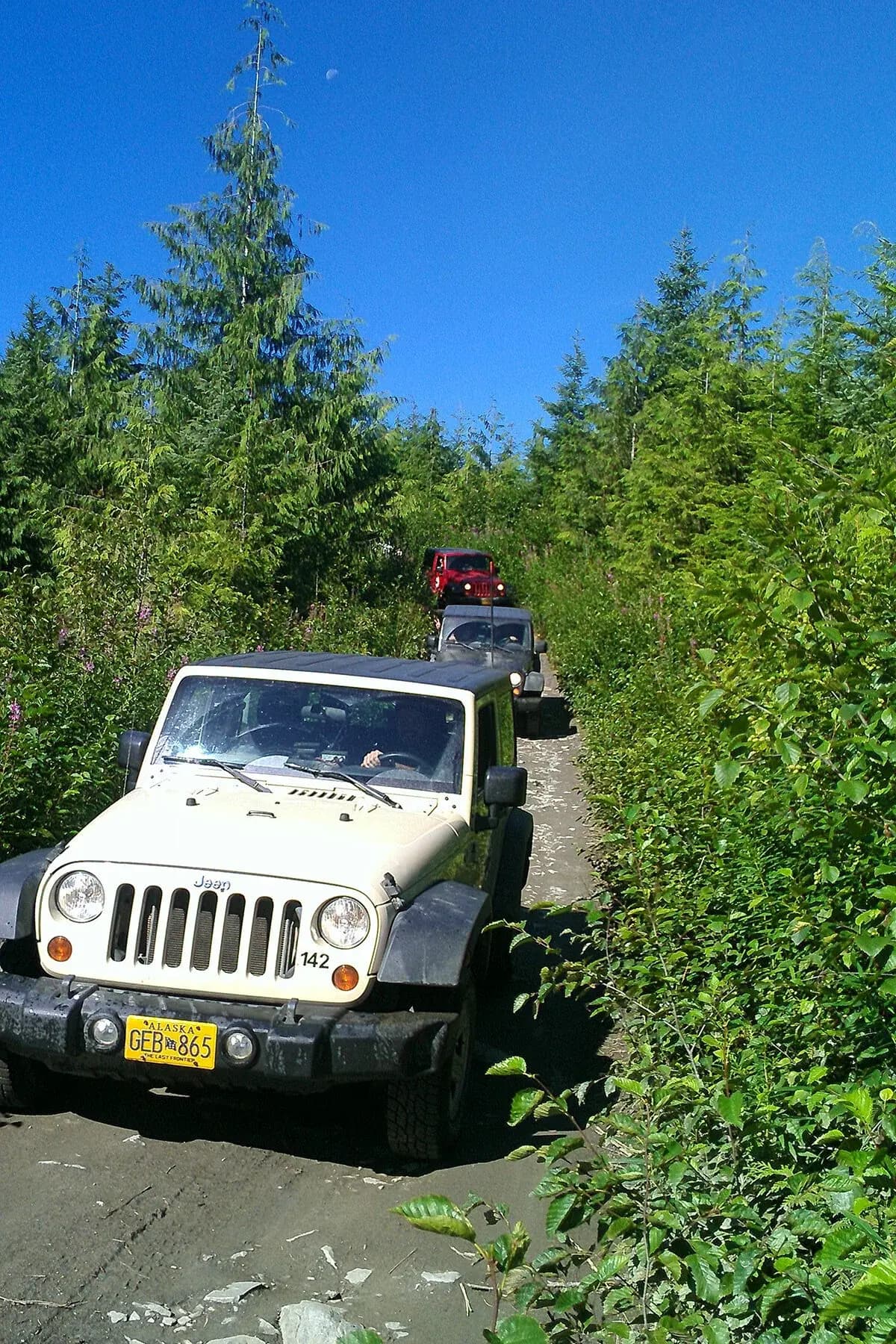 Backcountry Jeep & Canoe Safari