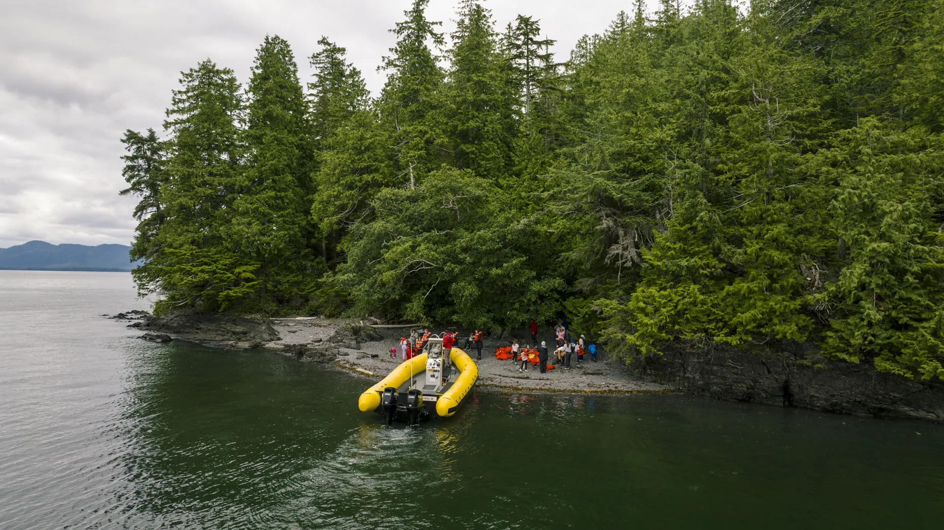 Ketchikan rainforest shoreline
