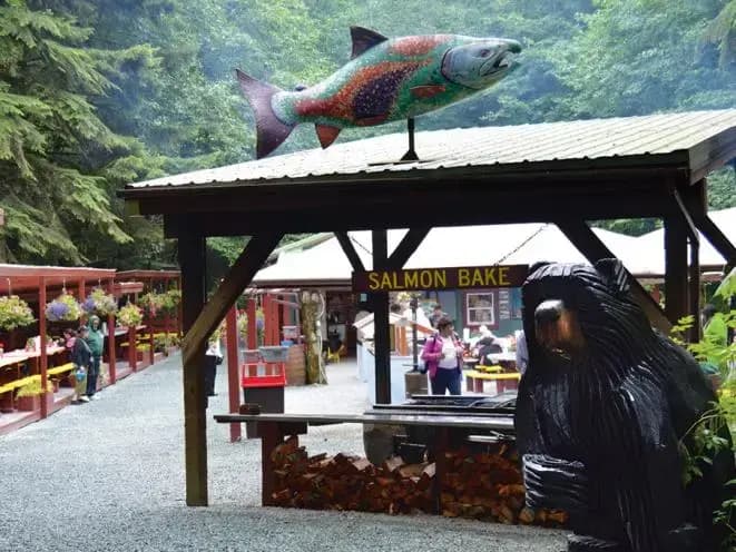 Whale Watching & Salmon Bake