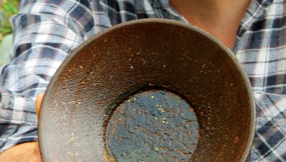 Gold Panning and Salmon Bake