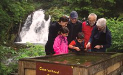 Why the Best of Juneau® Tour Is Great for Families of All Ages